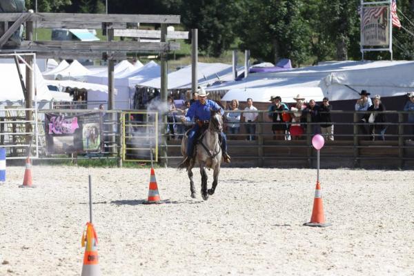 Equiblues 2013