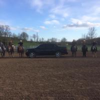 Plus de 300 chevaux dans la carrière du WMR !!! 