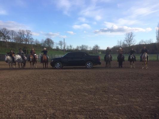 Plus de 300 chevaux dans la carrière du WMR !!! 