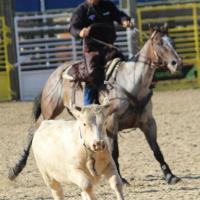 Equiblues 2015 