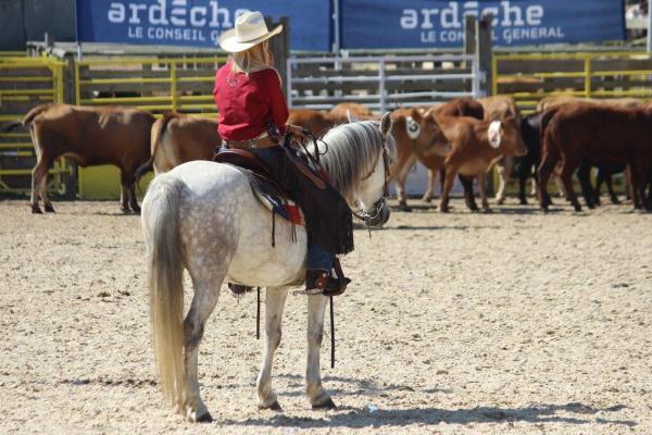 Marine Equiblues 2015 