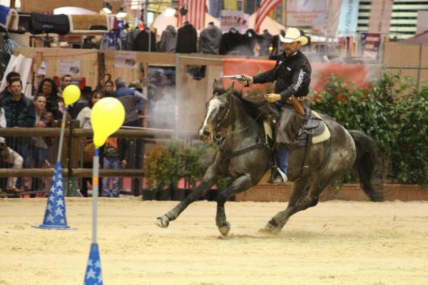 Equita'Lyon 2015