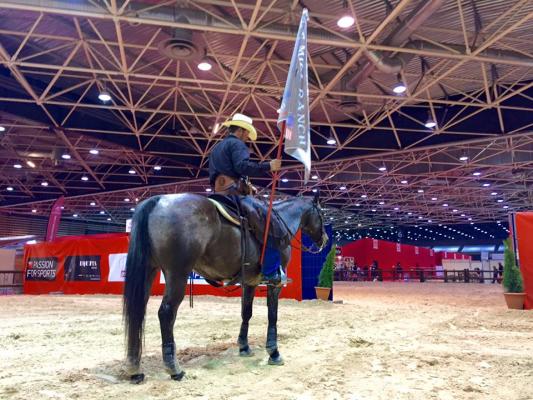 Equita'Lyon 2015
