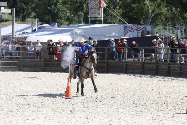 Equiblues 2013
