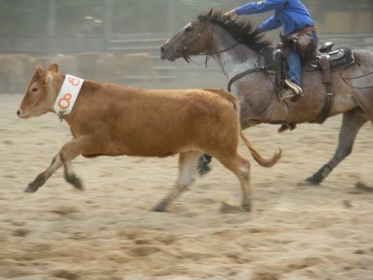 Top Hill Ranch