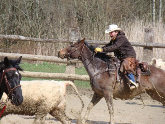 Equi'deal