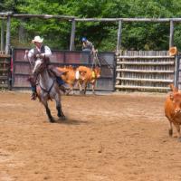 Top Hill Ranch