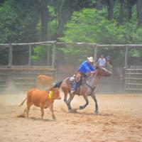 Top Hill Ranch