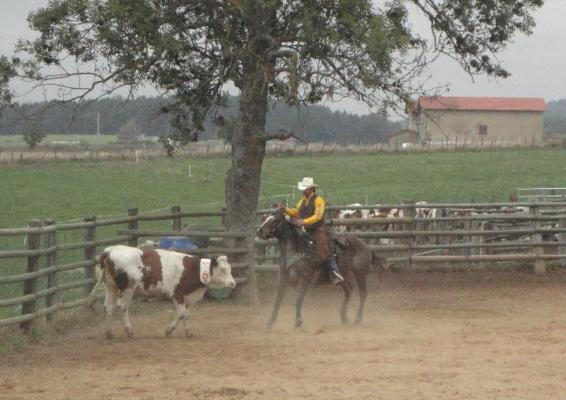 Gayet Ranch