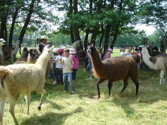Après midi découverte avec les enfants