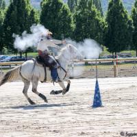 David Salon du cheval Clermont-Ferrand 2018