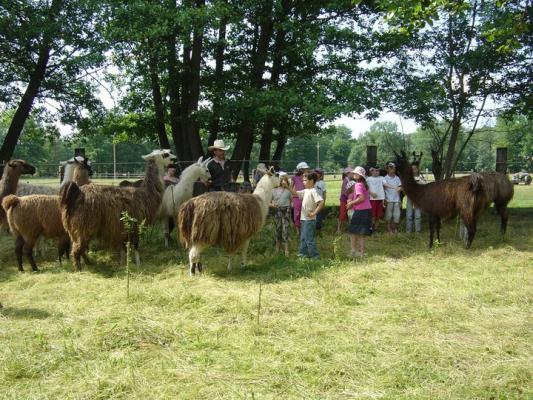 Après midi découverte avec les enfants