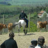 Entrainements