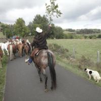 Convoyage de chevaux