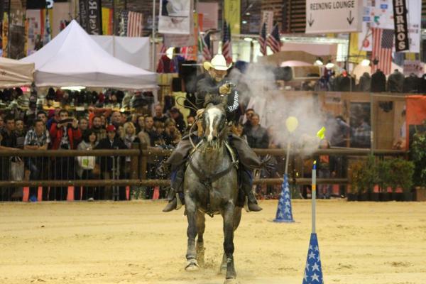 Equita'Lyon 2015