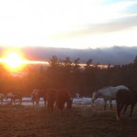 Couché de soleil de janvier !!!